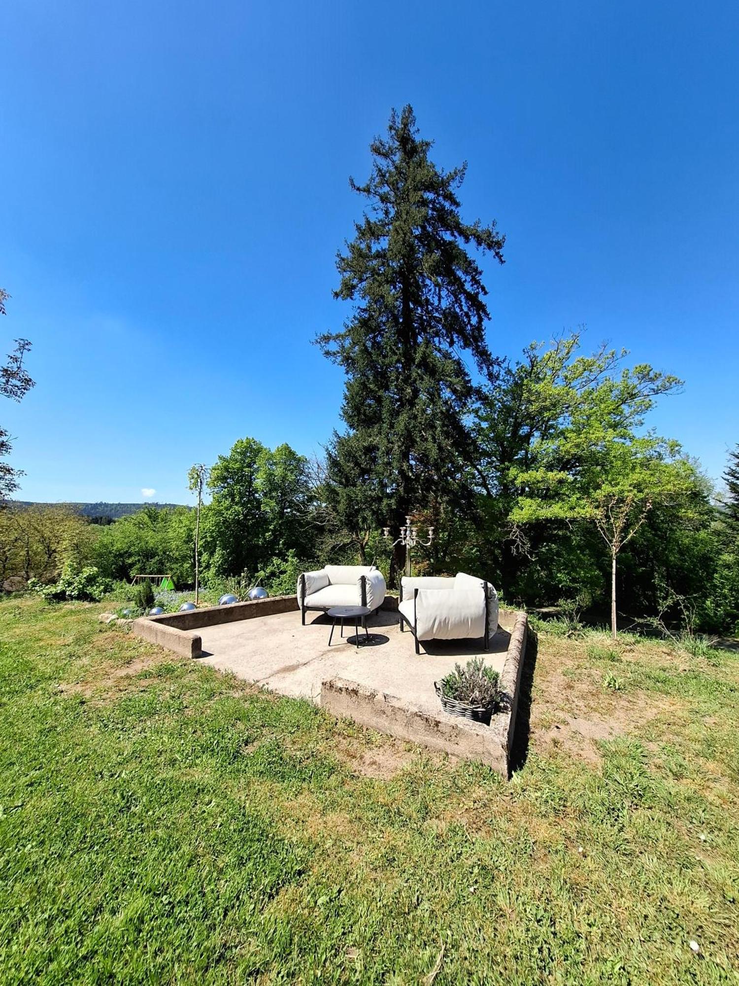 Chateau Robert Raon-lʼÉtape Extérieur photo